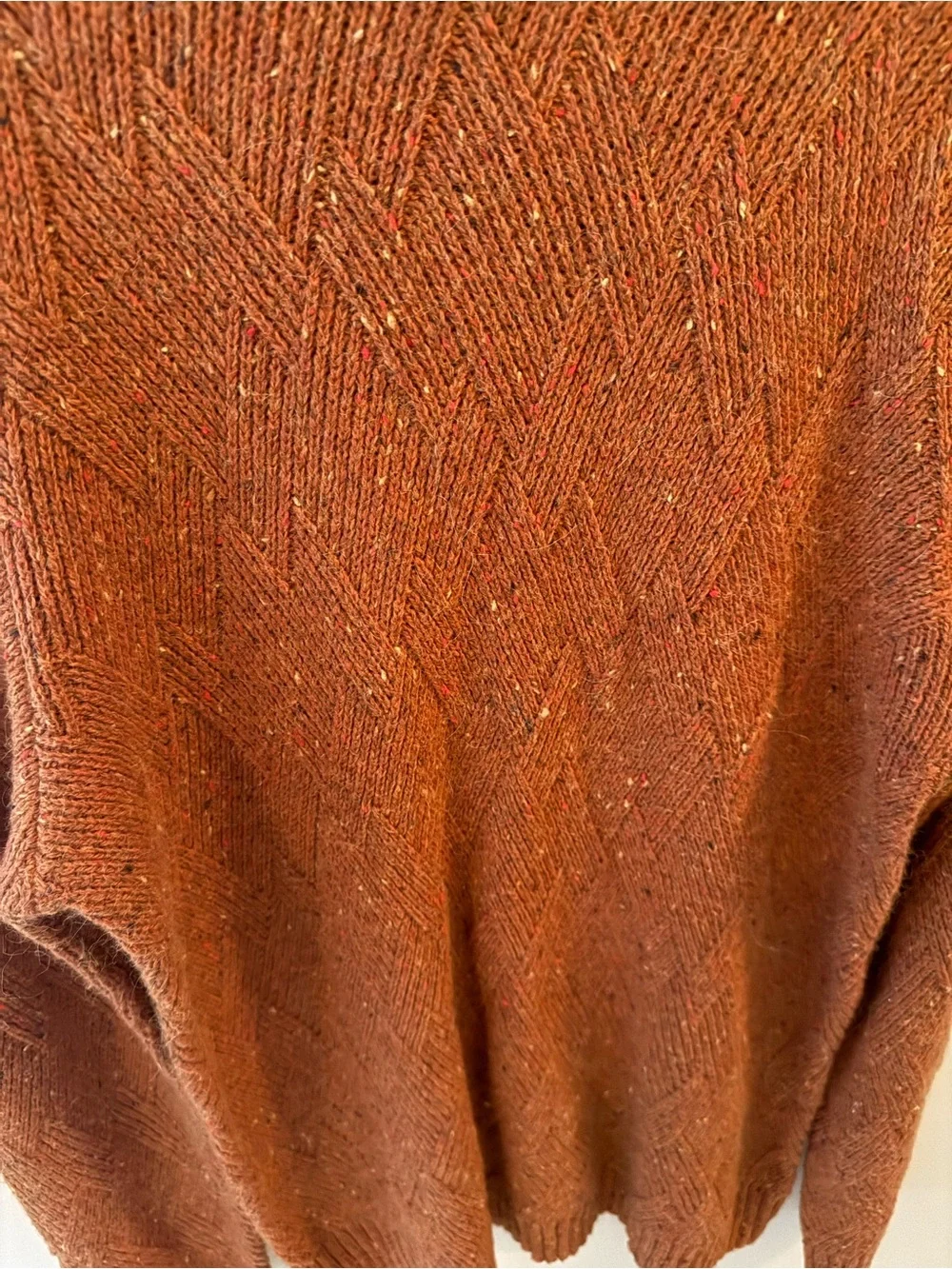 Tasso Elba wool alpaca blend rust orange crewneck sweater size L NWT